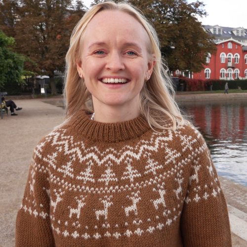 Sweater til voksne med juletræer og rensdyr - strikkeopskrift